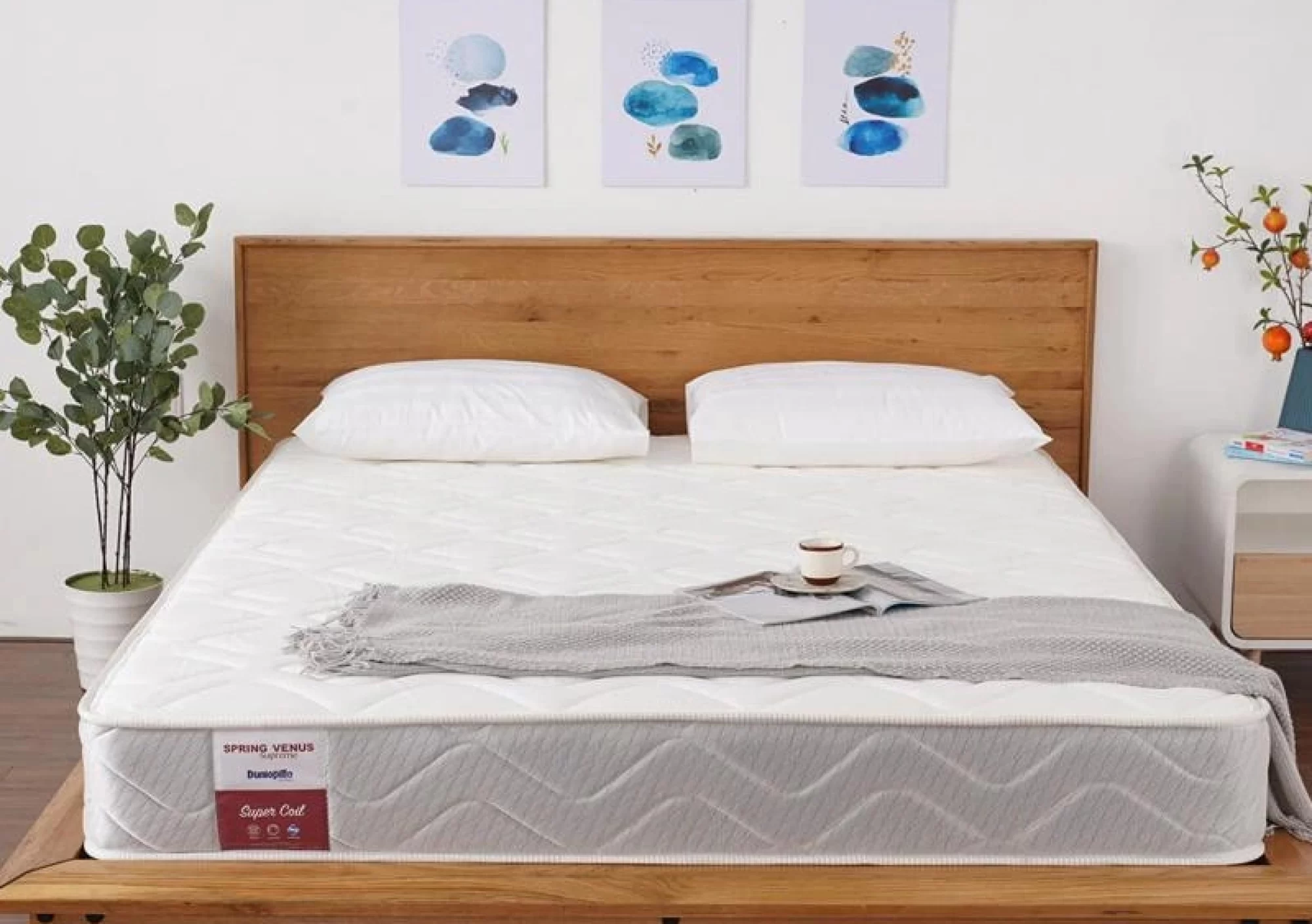 Chăn Ga Gối Nệm Giá Sỉ Đà Nẵng